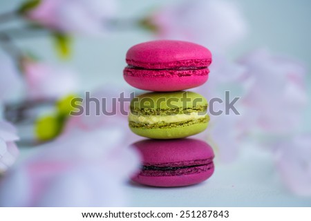 berry spring color macaroons with roses background