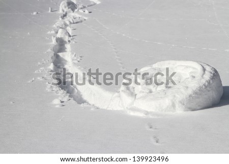 The resulting wheel of snow and its track from a snowball that started rolling down a slope of powder snow in direct sunlight.
