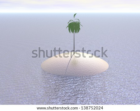 Desert island like one palm on the island in ocean