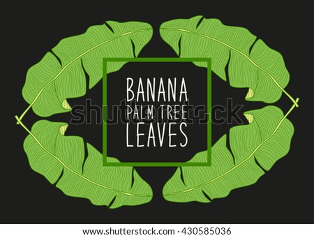 Cute frame with hand drawn banana palm tree leaves and hand written text for your decoration