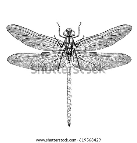 Black And White Dragonfly | Free download on ClipArtMag