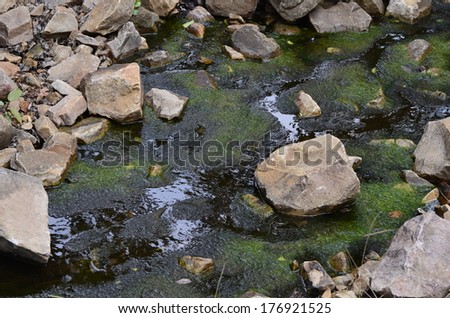 Natural scenery photograph of stones and green color water pond, perfect natural backdrop