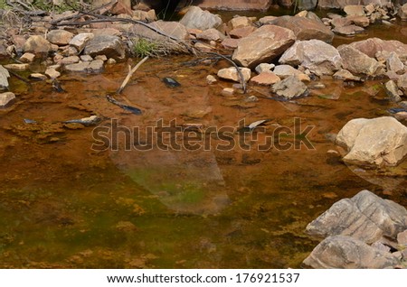 Natural scenery photograph of stones and reflection of stones in orange color water pond, perfect natural backdrop