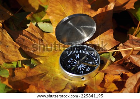 Compass among the autumn leaves. The navigation device on the background of fallen leaves in the forest.