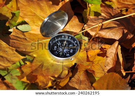 Compass on fallen leaves. Autumn in the Park compass rests on the ground among the maple leaves.