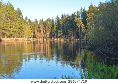 River landscape in spring. Forest river National Park in Central Russia.