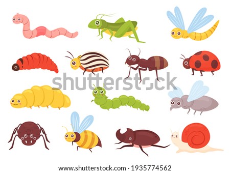 Cute insects vector illustration set. Cartoon colorful funny insect characters for childish kids collection with grasshopper ant bug dragonfly worm spider fly ladybug bee beetle isolated on white Foto d'archivio © 