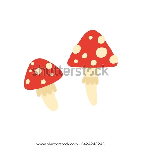 Poisonous toxic mushroom. Amanita muscaria botanical, witchcraft tools cartoon vector illustration