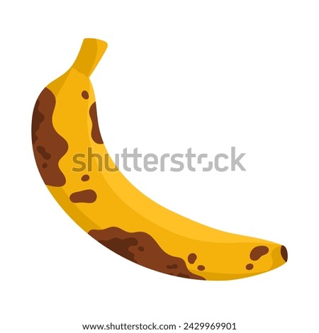 Old rotten banana fruit. Bad unhealthy food from kitchen, moldy expired tropical fruit cartoon vector illustration