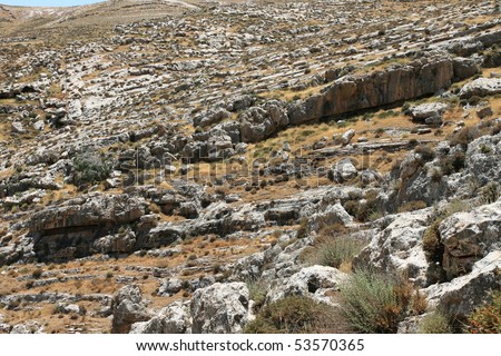 Back-slope. National Park Ein Prat. Israel.