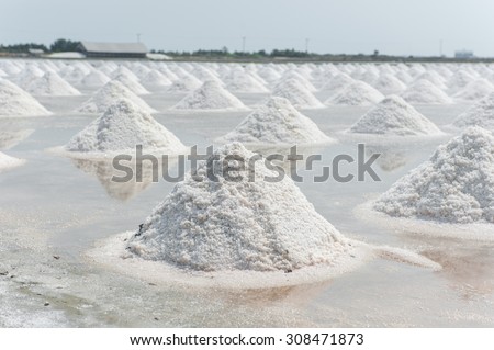 the salt in salt pan on Thailand