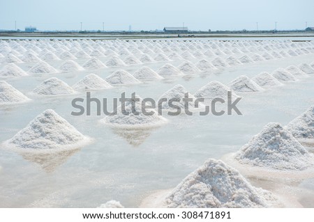 the salt in salt pan on Thailand