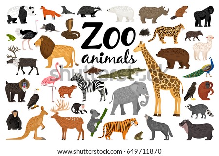 Zoo animals collection