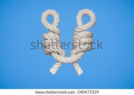 The CatÃ?Â´s Paw knot is a knot used for connecting a rope to an object