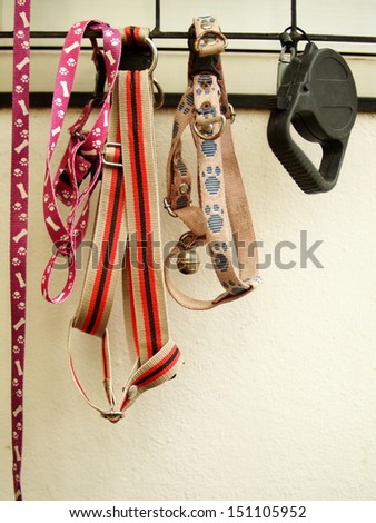 dog collars and ropes unused hanging on a wall dried under sunlight ready for the next use