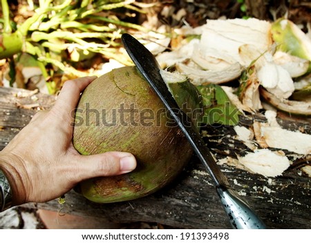 green young fresh coconut peeling, shell one side with heavy chop knife as first step of making roasted coconut, exotic but typical refreshment drink for warm summer time in Thailand.