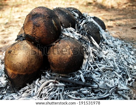 burning peeled coconut roasted on fire using natural wood as a step of making roasted coconut, exotic but typical refreshment drink for warm summer time in Thailand.