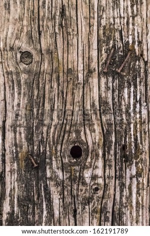Old, weathered, rotten plank, with wood knots, lateral cracks, and embedded rusted crooked nails.