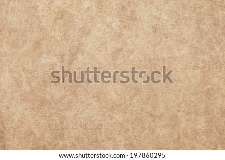 Photograph of old, animal skin parchment, coarse grained, grunge texture sample