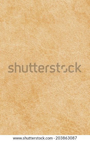 Photograph of old, animal skin parchment, creased, coarse grained, grunge texture sample