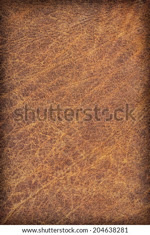 Photograph of old, weathered, rough, creased, coarse grained, crumpled, exfoliated cowhide texture, vignette sample