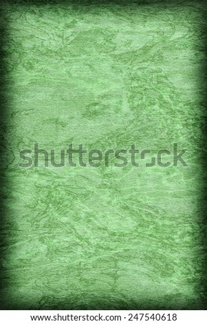 Photograph of Recycle Kelly Green Striped Pastel Paper, coarse grain, bleached, mottled, vignette grunge texture sample.