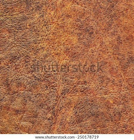 Photograph of old Brown, weathered, rough, creased, coarse grained, exfoliated, mottled Cowhide grunge texture.