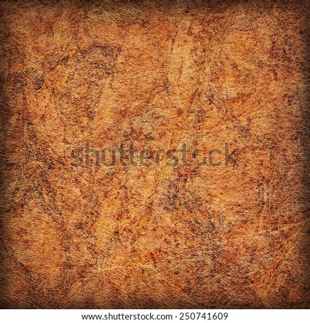 Photograph of old Brown Cowhide, weathered, rough, creased, coarse grained, exfoliated, blotted, mottled, vignette grunge leather texture.