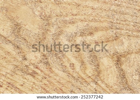 Maple Wood Veneer Yellow Ocher bleached, stained, grunge texture sample.