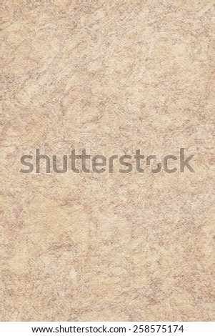 Photograph of Recycle Watercolor Paper, coarse grain, light Grayish Beige, bleached, mottled, interspersed with delicate irregular white linear pattern, grunge texture.