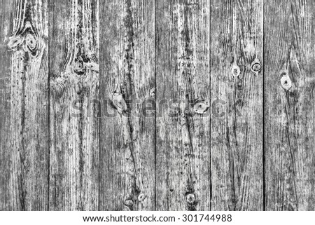Black and White Photograph of old, knotted, weathered, cracked White Pine floorboards with conspicuous wood knots, grain, and annual growth lines.