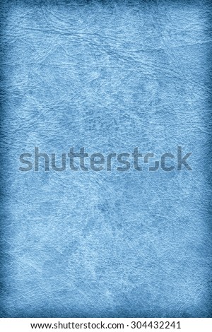 Photograph of old Blue animal skin parchment, creased, coarse, vignette grunge texture sample.