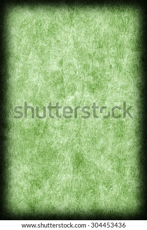 Photograph of old Green Animal Skin Parchment, creased, coarse, vignette grunge texture sample.