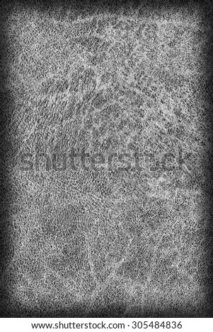 Photograph of Old, Dark Gray Cowhide, Weathered, Coarse, Creased, Exfoliated, Cracked, Vignette Grunge Texture Sample.