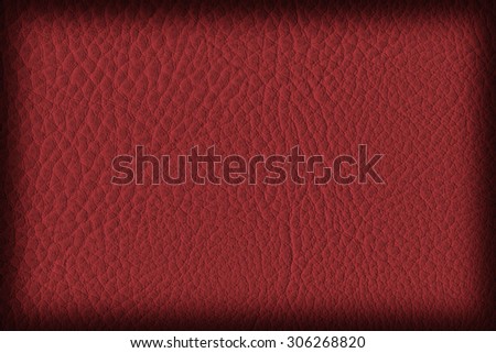Photograph of Artificial Leather, Cardinal Red, Coarse Vignette Grunge Texture Sample.