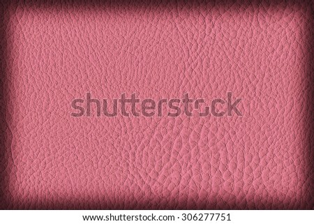 Photograph of Artificial Leather, Pink, Coarse Vignette Grunge Texture Sample.
