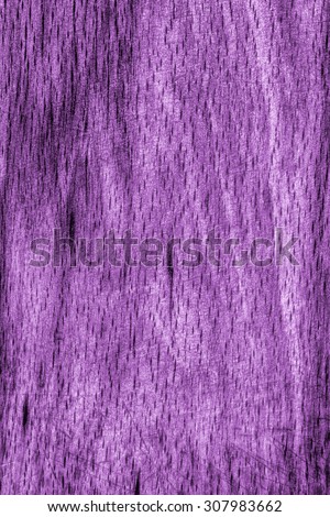 Old Beech Wood, Bleached and Stained Purple, Grunge Texture Sample.