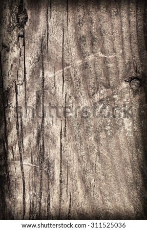 Old Knotted Wood, Weathered, Rotten, Cracked, Vignette, Grunge Texture.