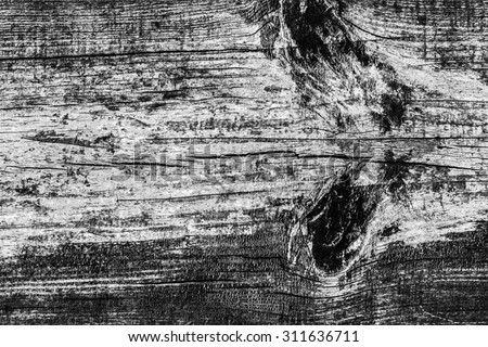 Old Knotted Wood, Weathered, Rotten, Cracked, Bleached and Stained Gray, Grunge Texture.