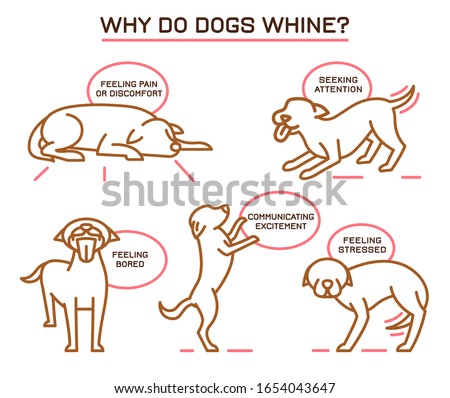 Why do dogs whine. Dog nuisance behavior icons. Educational poster. Domestic animal, pet language. Simple icon, sign. Editable vector illustration isolated on white background. Landscape poster