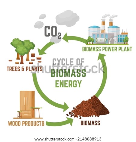 Biomass energy vertical poster with useful infographics. Portrait print. Ecological power, zero emissions. Ecology, global warming, clean future. Editable vector illustration in a cartoon style.