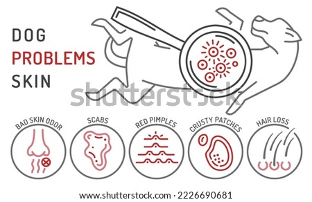 Dog skin problems infographic. Icons with different symptoms. Hair loss, itching, allergy, scabs. Animal parasites. Editable vector illustration in outline style.  Horizontal veterinary banner