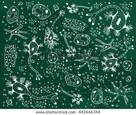 Biological background vector illustration. Micro world editable concept. Hand drawn outlined doodles on a green textured chalkboard. Scentific bio pattern.