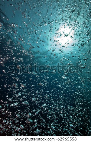 bubbles, ocean and sun
