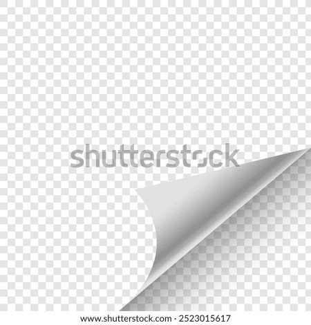 3d style empty transparent paper curled mockup design vector