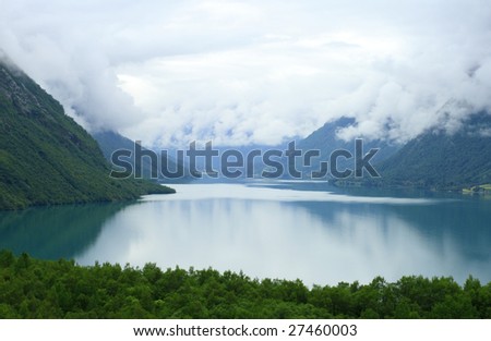 Fir wood and lake in Norway