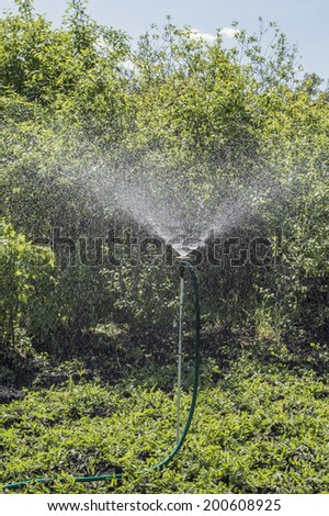 Watering in a garden: sun, water and wind