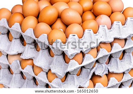 Chicken eggs in  paper tray