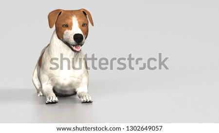 Similar – Foto Bild Jackrussel-Hund auf der Couch liegend