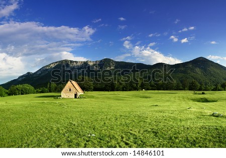 rural landscape with deserted old house on the field
